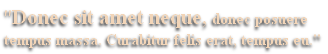 "Donec sit amet neque, donec posuere
tempus massa. Curabitur felis erat, tempus eu."